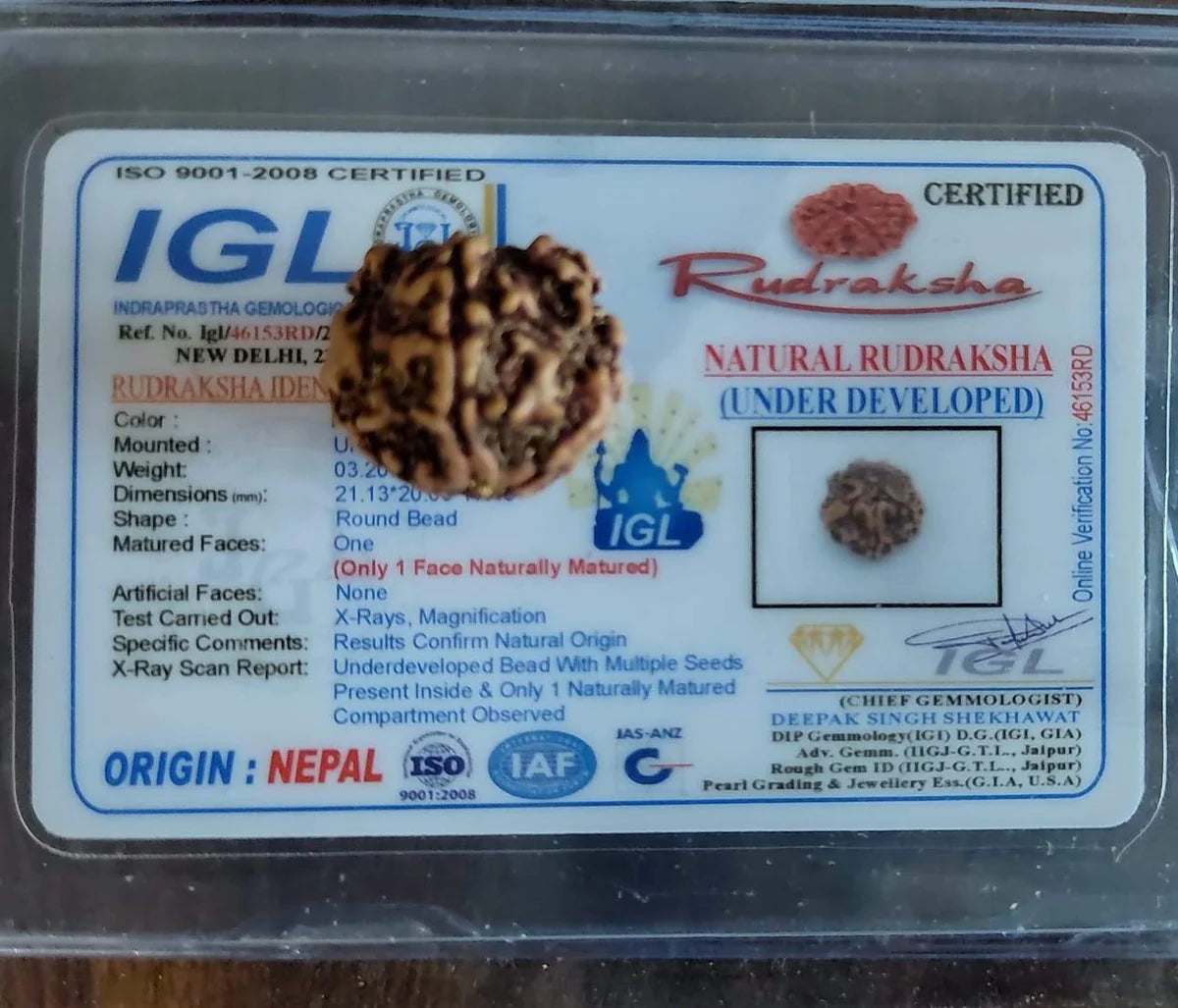 1 Mukhi NEPALI Rudraksha|1 Mukhi Nepali Rudraksha Benefits And Price ...