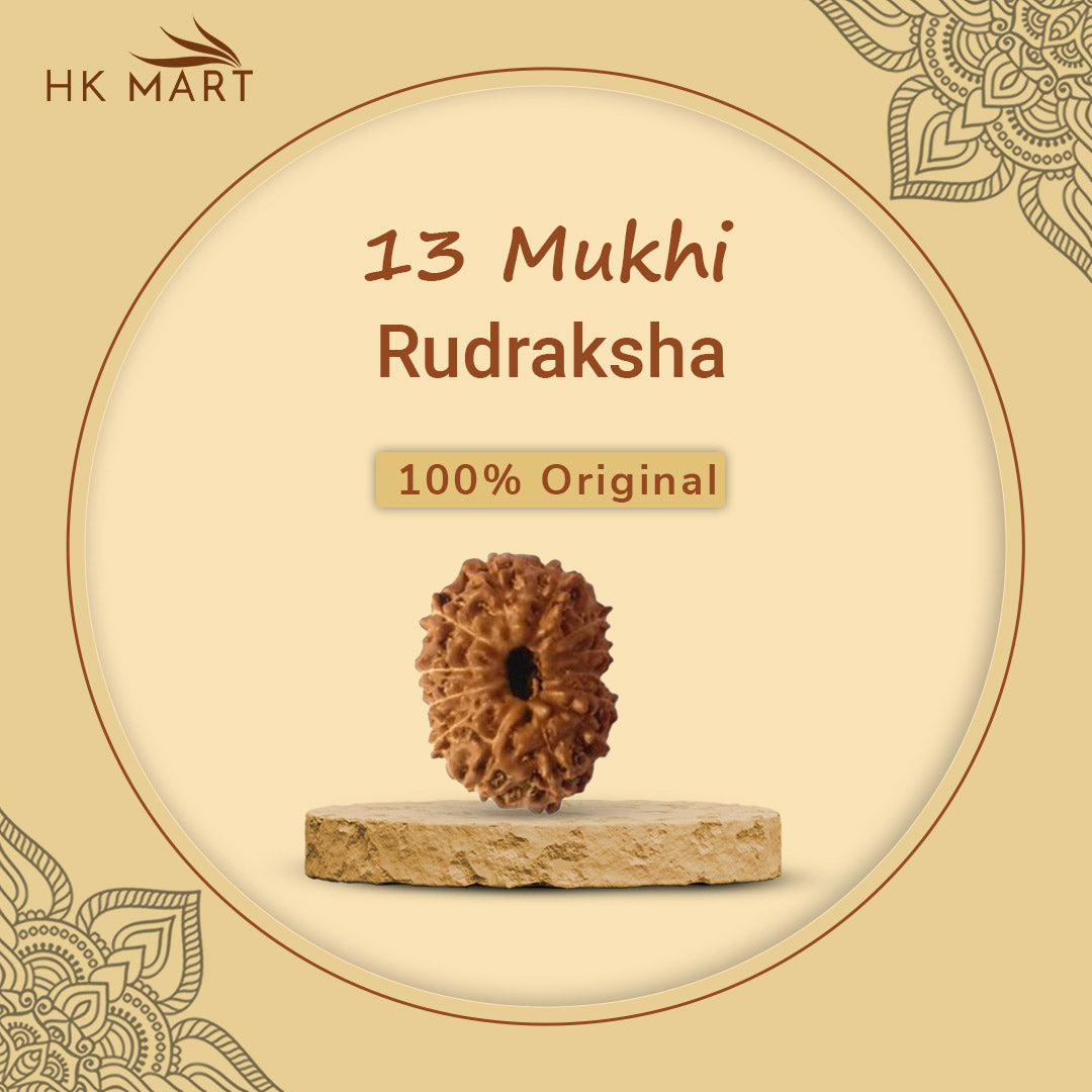 13 Mukhi Rudraksha (Nepal) | 13 Mukhi Rudraksha Original | 13 Mukhi Rudraksha Price | 13 Mukhi Rudraksha Benefits | 13 Mukhi Rudraksha Mala | 13 Mukhi Rudraksha Bracelet | 13 Mukhi Rudraksha Pendant|13 mukhi rudraksha