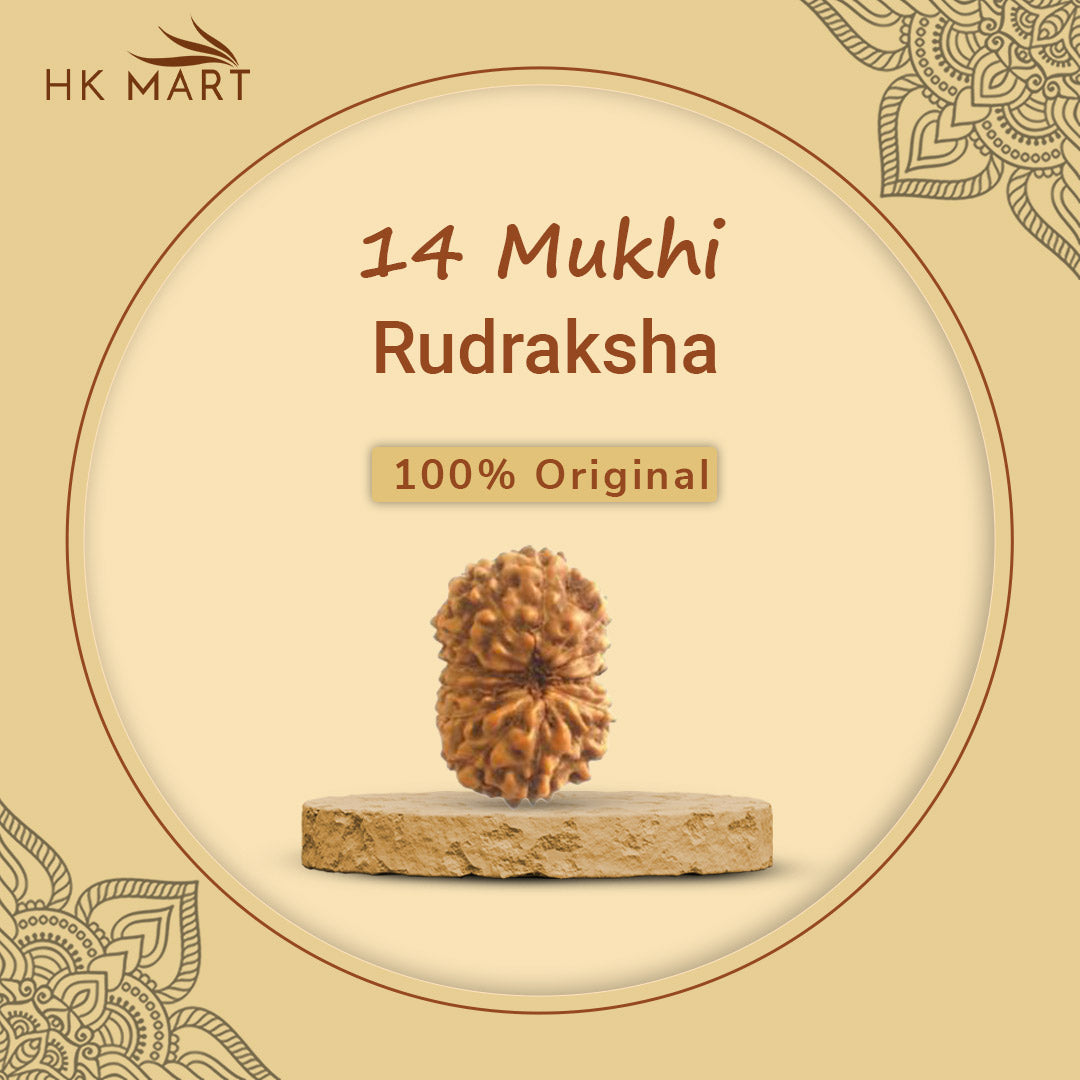 14 Mukhi Rudraksha (Nepal) | 14 Mukhi Rudraksha Original | 14 Mukhi Rudraksha Price | 14 Mukhi Rudraksha Benefits | 14 Mukhi Rudraksha Mala | 14 Mukhi Rudraksha Bracelet | 14 Mukhi Rudraksha Pendant|14 mukhi rudraksha