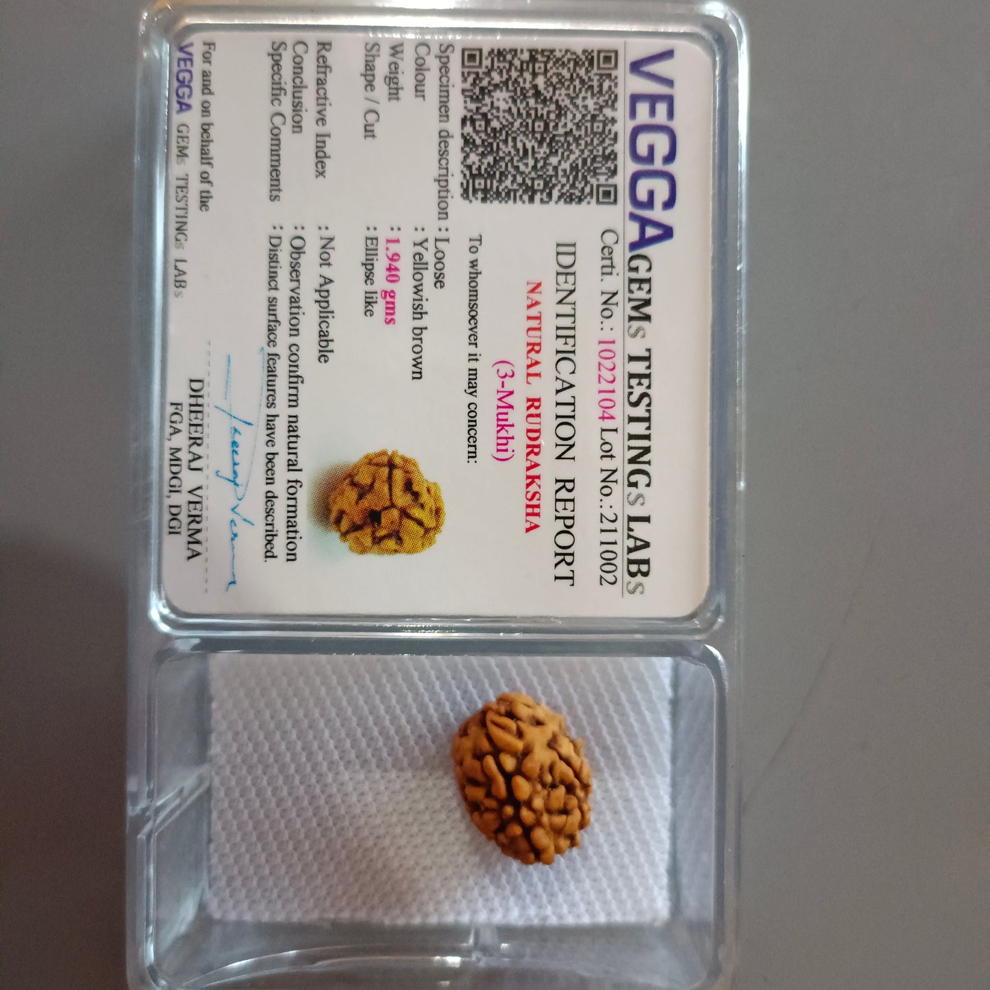 3 Mukhi Rudraksha | 3 mukhi rudraksha price| 3 mukhi rudraksha pendent |3 mukhi rudraksha Benefits | 3 mukhi rudraksha mala | Original 3 mukhi rudraksha |3 mukhi rudraksha | 3 mukhi rudraksha bracelet