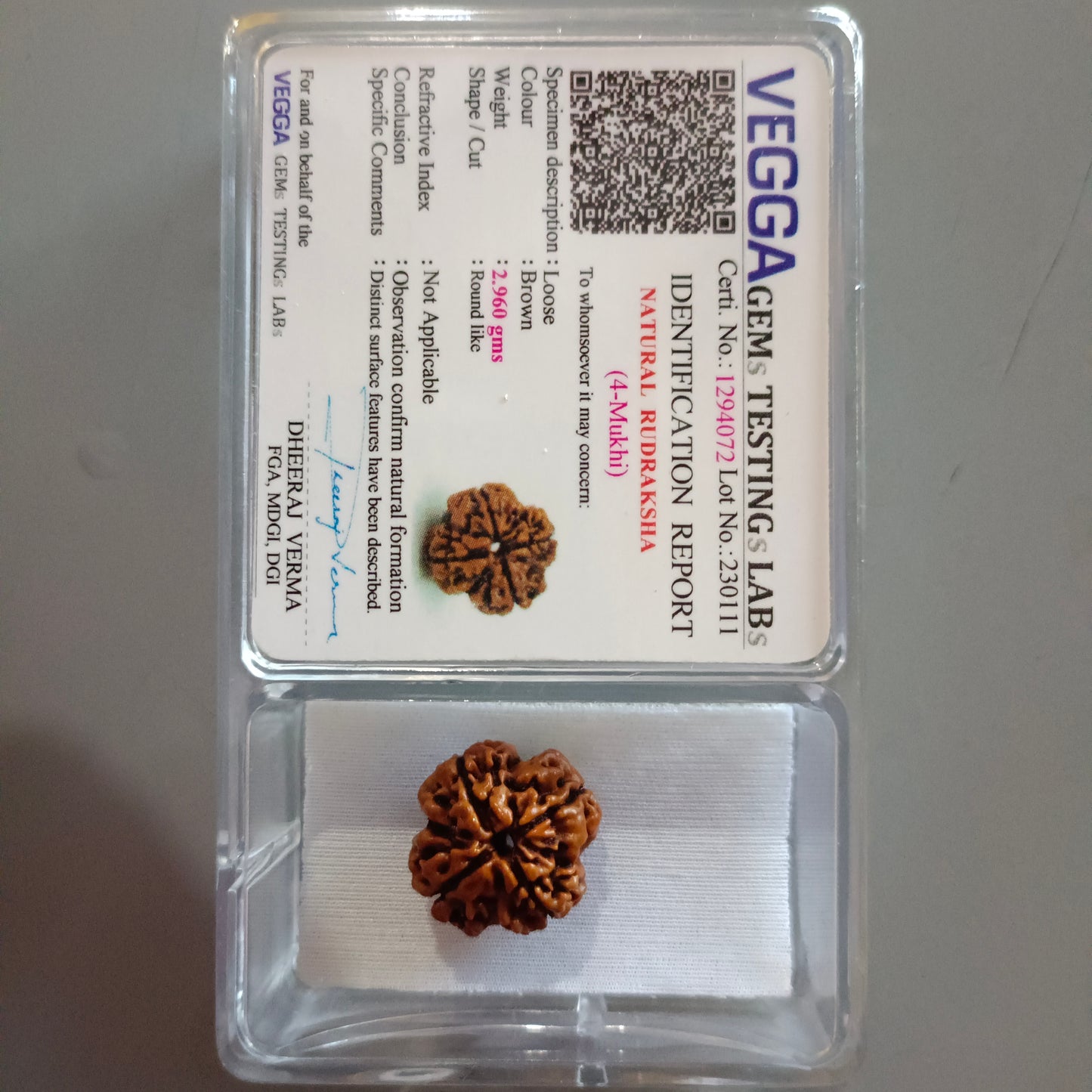 4 Mukhi Rudraksha4 Mukhi Rudraksha (Nepal) | 4 Mukhi Rudraksha Original | 4 Mukhi Rudraksha Price | 4 Mukhi Rudraksha Benefits | 4 Mukhi Rudraksha Mala | 4 Mukhi Rudraksha Bracelet | 4 Mukhi Rudraksha Pendant