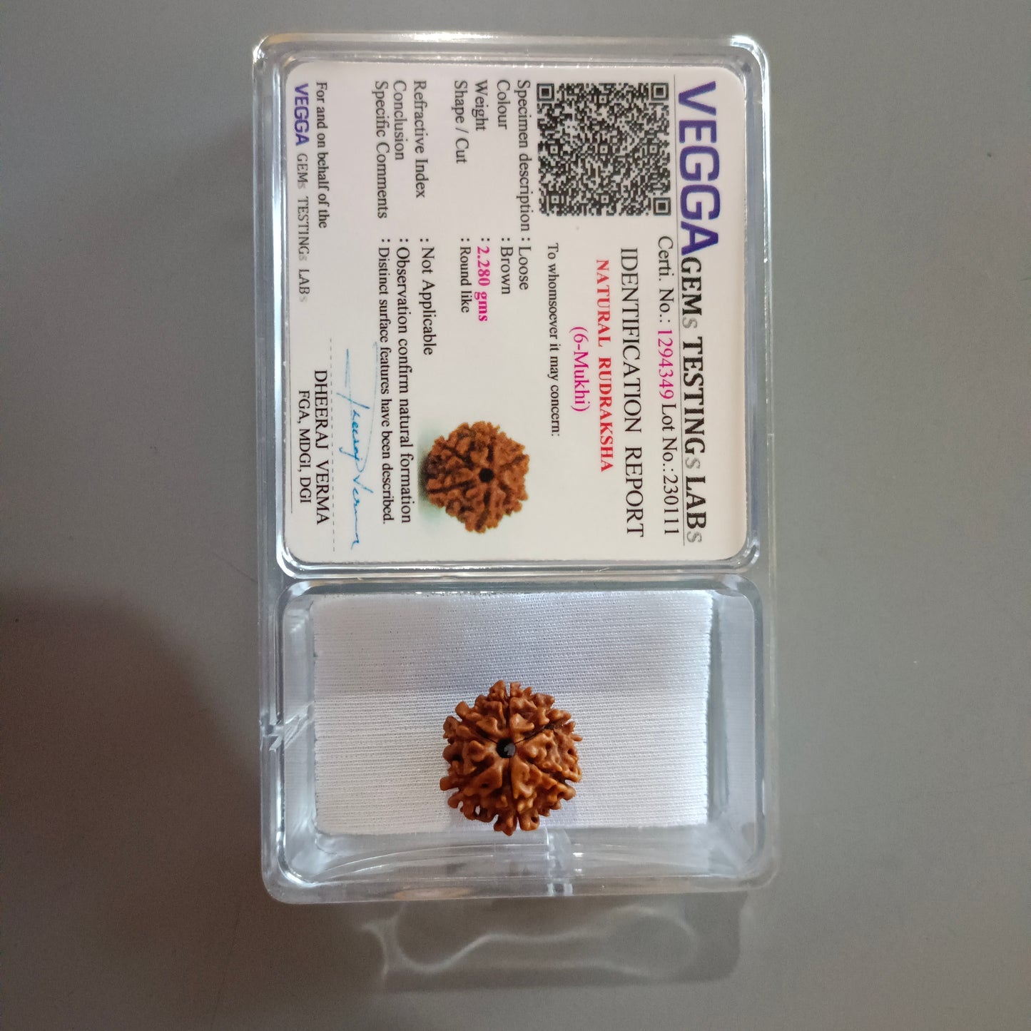 6 mukhi rudraksha original | 6 Mukhi Rudraksha Price | 6 mukhi rudraksha mala | 6 mukhi rudraksha Pendant | 6 mukhi rudraksha Original | 6 mukhi rudraksha Benefits