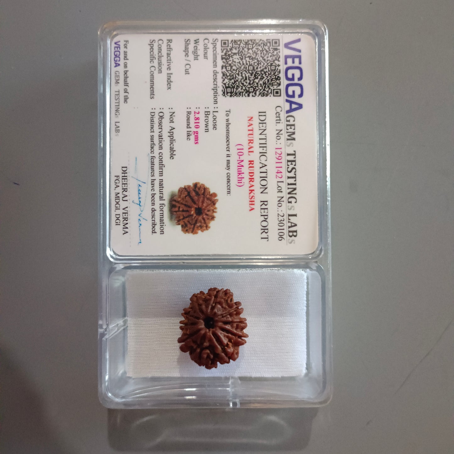 10 Mukhi Rudraksha (Nepal) | 10 Mukhi Rudraksha Original | 10 Mukhi Rudraksha Price | 10 Mukhi Rudraksha Benefits | 10 Mukhi Rudraksha Mala | 10 Mukhi Rudraksha Bracelet | 10 Mukhi Rudraksha Pendant