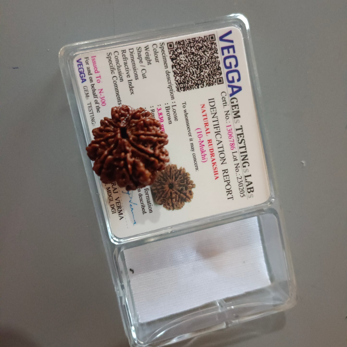 10 Mukhi Rudraksha (Nepal) | 10 Mukhi Rudraksha Original | 10 Mukhi Rudraksha Price | 10 Mukhi Rudraksha Benefits | 10 Mukhi Rudraksha Mala | 10 Mukhi Rudraksha Bracelet | 10 Mukhi Rudraksha Pendant