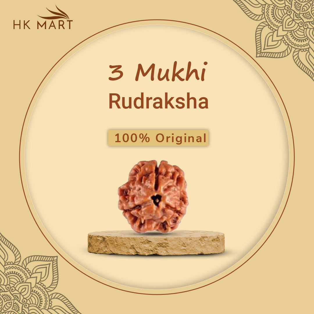3 Mukhi Rudraksha(Nepal) | 3 mukhi rudraksha price | 3 mukhi rudraksha pendent |3 mukhi rudraksha Benefits | 3 mukhi rudraksha mala | Original 3 mukhi rudraksha |3 mukhi rudraksha | 3 mukhi rudraksha bracelet|3 face rudraksha|3 face rudraksha price|3 face rudraksha original|original rudraksha