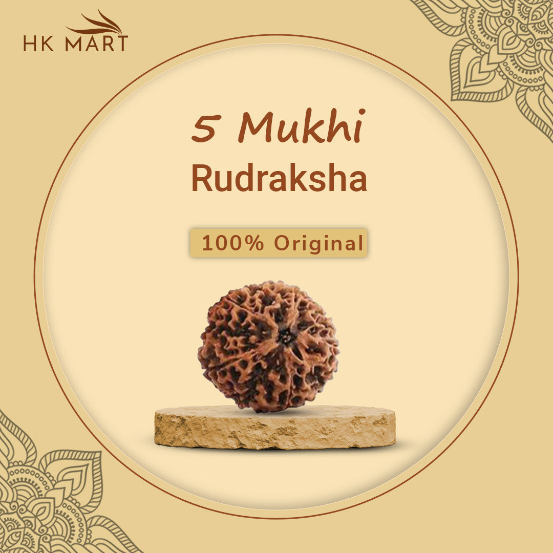 5 Mukhi Rudraksha Original(Nepal) | 5 Mukhi Rudraksha Benefits | 5 Mukhi Rudraksha Price | 5 Mukhi Rudraksha bracelet | 5 Mukhi Rudraksha mala | 5 Mukhi Rudraksha | 5 Mukhi Rudraksha Pendant