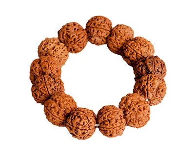 5 mukhi bracelet
