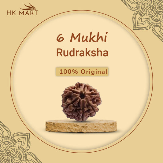 6 mukhi rudraksha | 6 mukhi rudraksha benefits | 6 Mukhi Rudraksha Price | 6 mukhi rudraksha mala | 6 mukhi rudraksha Pendant | 6 mukhi rudraksha Original