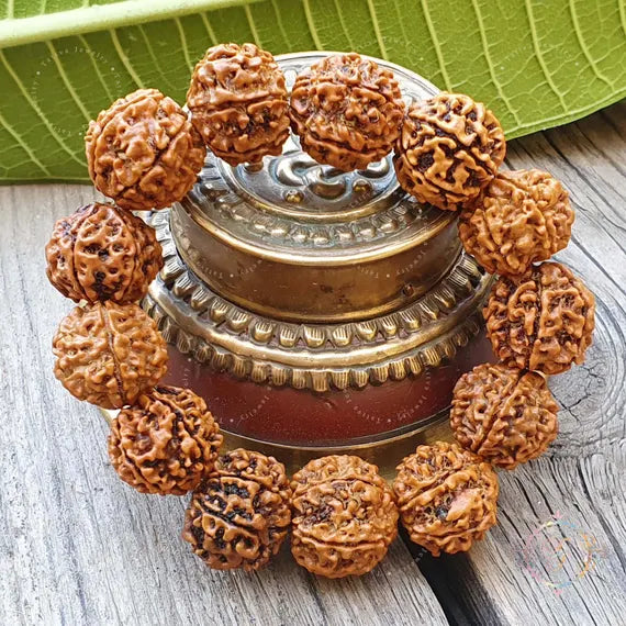  6 Mukhi(Nepali) Rudraksha Bracelet| Rudraksha Bracelet For Saturn| Rudraksha Bracelet For Men And Women|