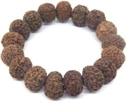 8 Mukhi (Nepali) Rudraksha Bracelet| Bracelet For Men | Bracelet For Women| 8 Mukhi Bracelet For Money| 