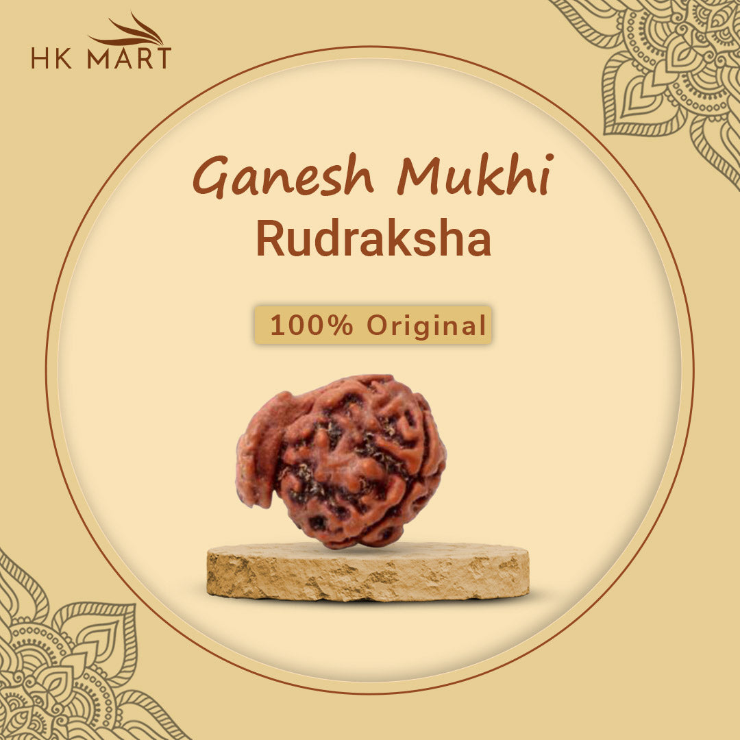 Ganesh Mukhi Rudraksha | Buy ganesh Mukhi Rudraksha | ganesh Mukhi Rudraksha Benefits | ganesh Mukhi Rudraksha Price | ganesh Mukhi Rudraksha Pendant | ganesh Mukhi Rudraksha mala| ganesh face rudraksha