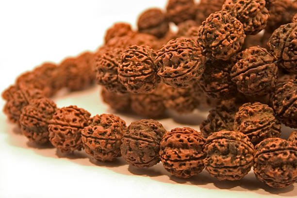 Government certified rudraksha shop online