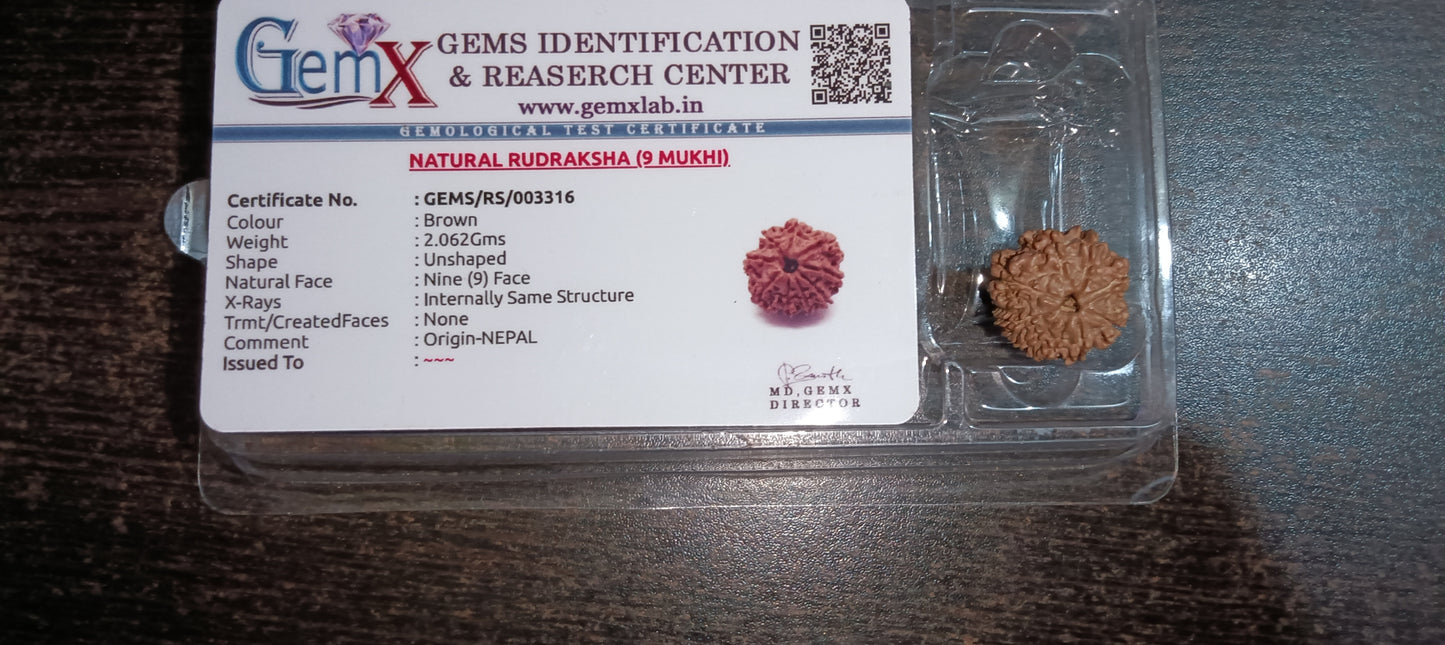 9 Mukhi Rudraksha Original (Nepal)