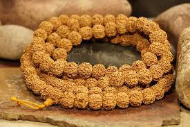 6 Mukhi Nepli Mala|6 Mukhi mala|nepali rudraksha mala