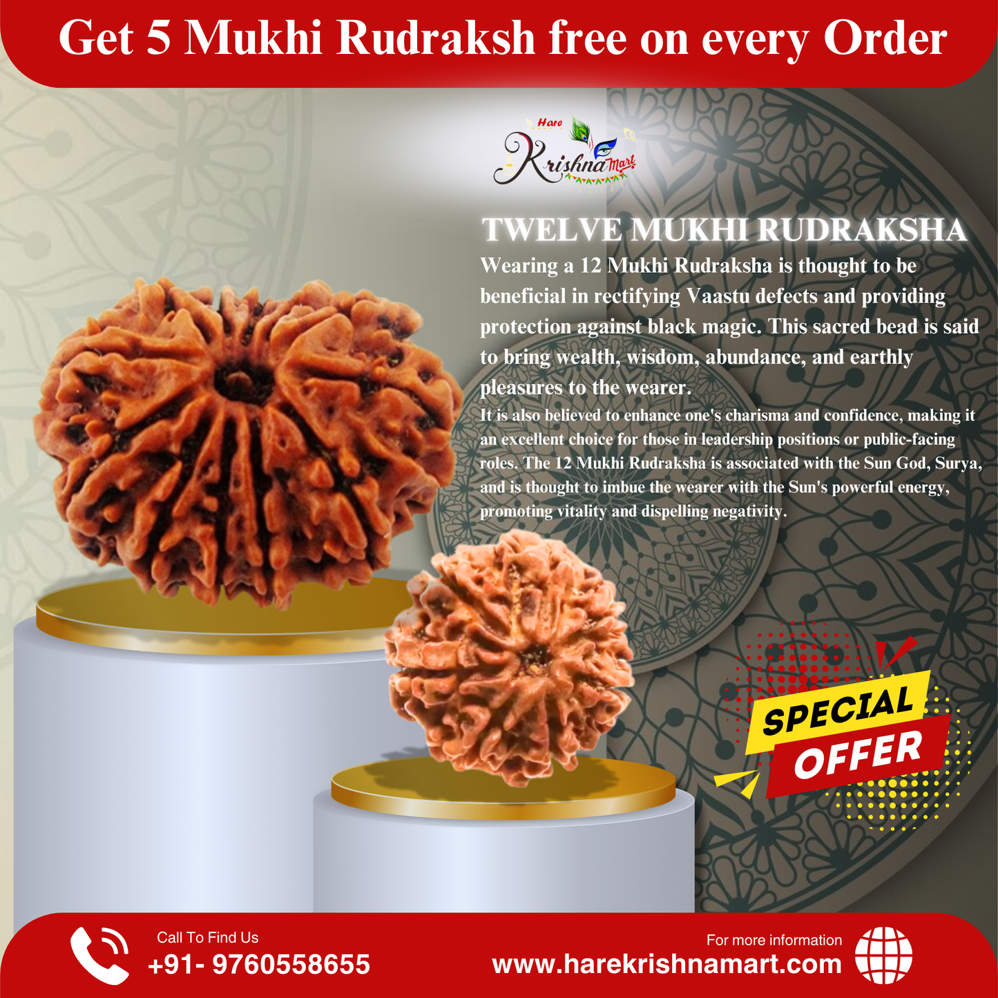 12 Mukhi Rudraksha (Nepal) | 12 Mukhi Rudraksha Original | 12 Mukhi Rudraksha Price | 12 Mukhi Rudraksha Benefits | 12 Mukhi Rudraksha Mala | 12 Mukhi Rudraksha Bracelet | 12 Mukhi Rudraksha Pendant