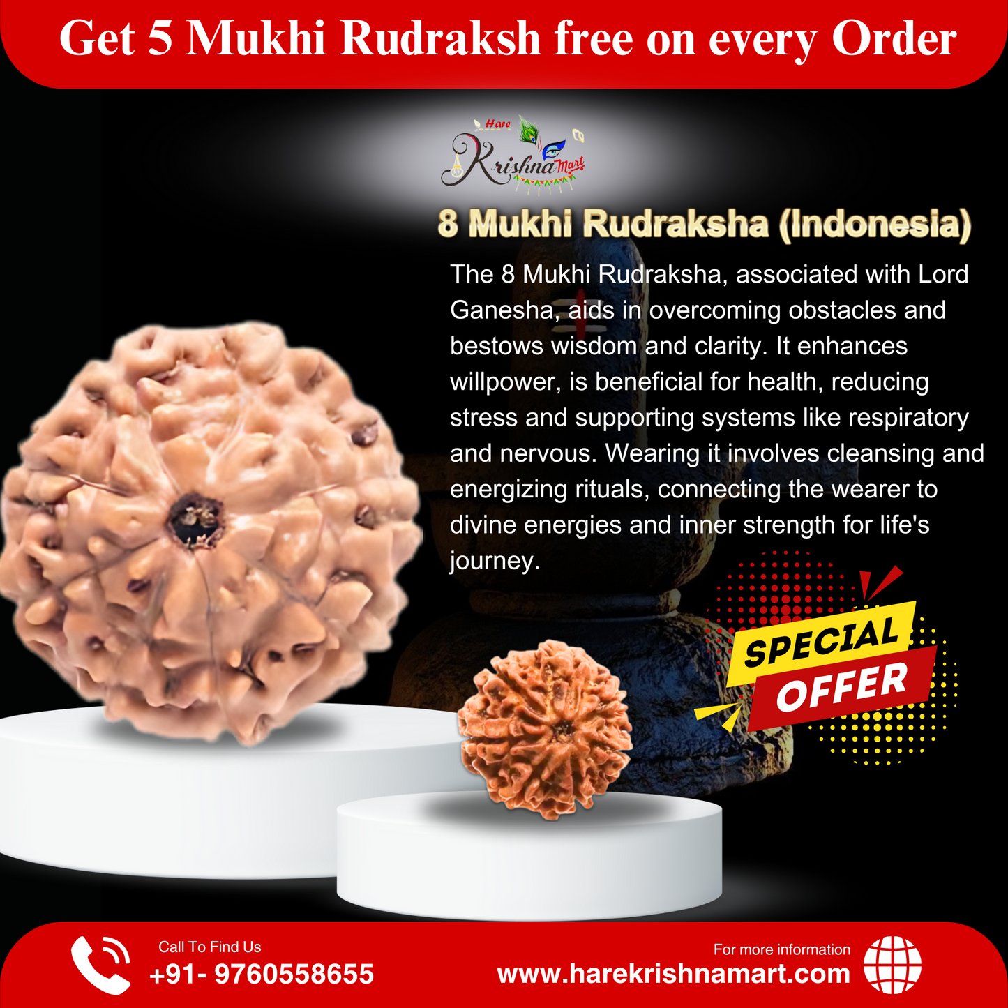 8 mukhi rudraksha|8 mukhi indonesia|8 mukhi price|certified rudraksha|indoesnia rudraksha |java rudraksha|original rudraksha| certified rudraksha