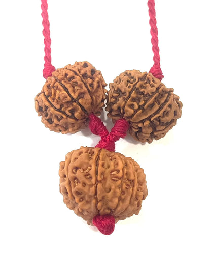 #8mukhi  8 mukhi rudraksha mala  8 mukhi rudraksha  8 mukhi rudraksha benefits  8 mukhi rudraksha bracelet  8 mukhi rudraksha original  8 mukhi rudraksha pendant  8 mukhi rudraksha price  9 mukhi Rudraksha  9 mukhi Rudraksha Benefits  9 Mukhi Rudraksha (Nepal)  9 mukhi Rudraksha bracelet  9 mukhi Rudraksha mala  9 mukhi Rudraksha Original  9 mukhi Rudraksha pendant  10 mukhi rudraksha  10 Mukhi Rudraksha (Nepal)  10 Mukhi Rudraksha Benefits  10 Mukhi Rudraksha Bracelet  10 Mukhi Rudraksha Origina