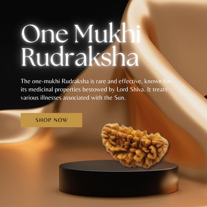 1 Mukhi Rudraksha Pendant | 1 Mukhi Rudraksha | 1 Mukhi Rudraksha Benefits | 1 Mukhi Rudraksha Price|original 1 mukhi rudraksha |certfied 1 mukhi rudraksha |one mukhi rudraksha|1 face rudrasha|1 face rudraksha price|one mukhi rudraksha|original 1 mukhi rudraksha|original 1 mukhi rudraksha | rudraksha | nepali rudraksha