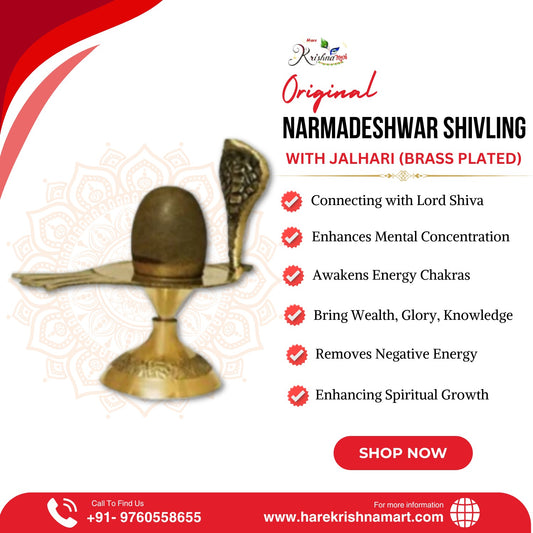 Narmadeshwar Shivling with Jalhari (Brass, Stone, Gold, Brown)