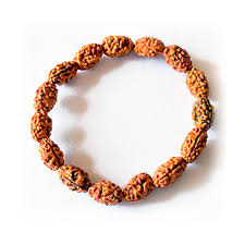 2 mukhi rudraksha bracelet|2mukhi barcelet benefiits|2 mukhi rudraksha bracelet price| bracelet for man|bracelet for woman|bracelet for love