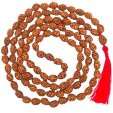 3 Mukhi Rudraksha Mala Indonesia