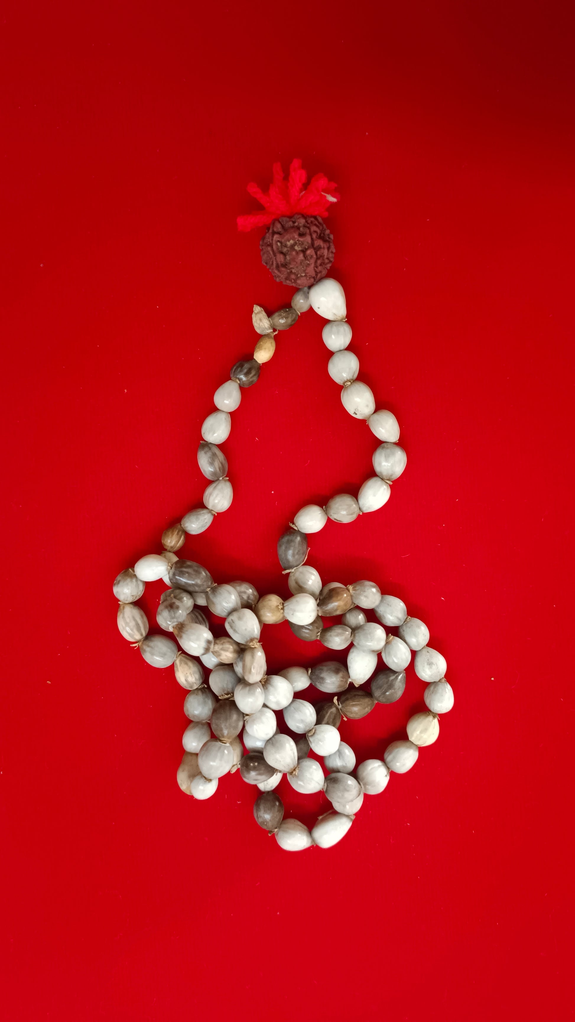 vaijayanti flower seeds Energized Original Vaijayanti and Lotus Seeds Mala – Hare krishna Mart
