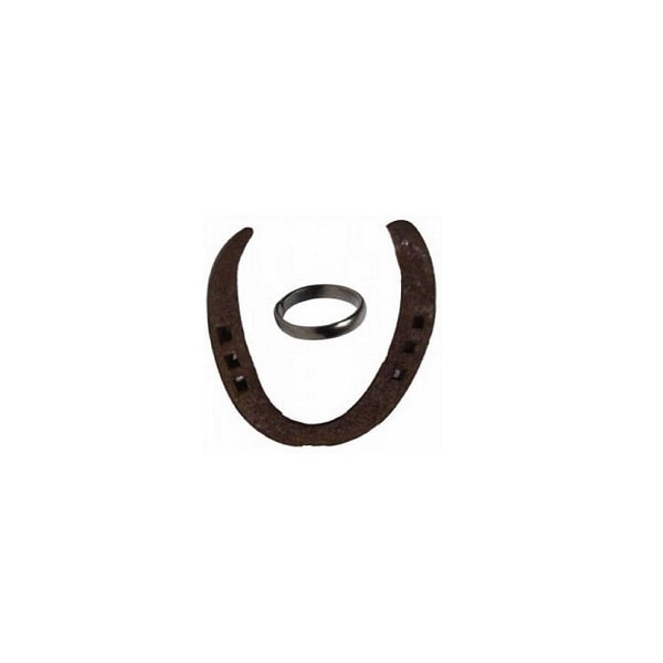 Horse Shoe Naal & Ring