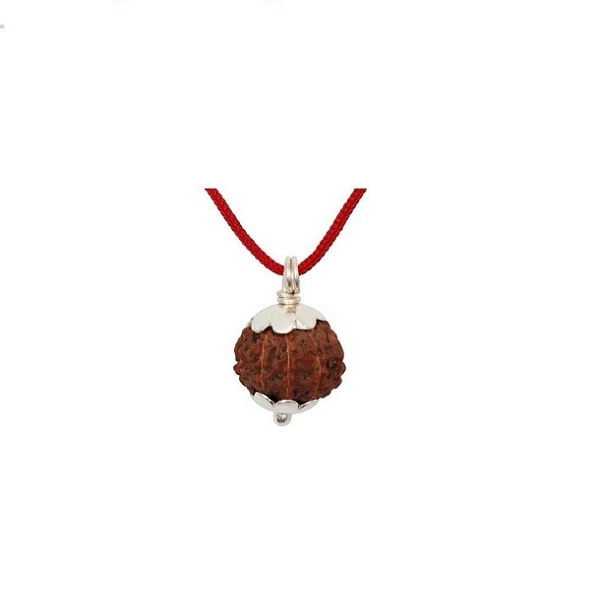 10 Mukhi Rudraksha pendant