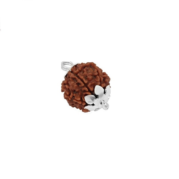 4 Mukhi Rudraksha Pendant