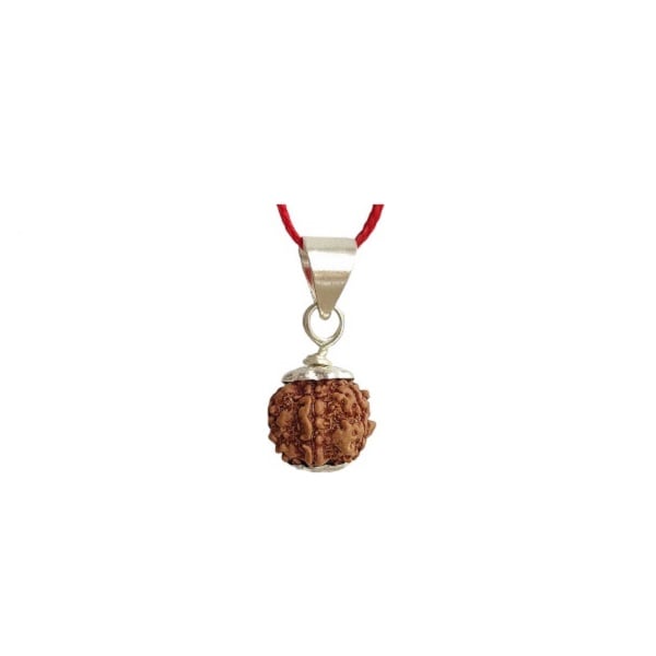 7 Mukhi Rudraksha Pendant