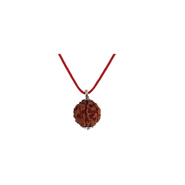 9 Mukhi Rudraksha Pendant