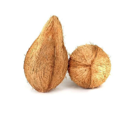 ekashi nariyal| ekashi nariyal benefits| one eye coconut| benefits and price